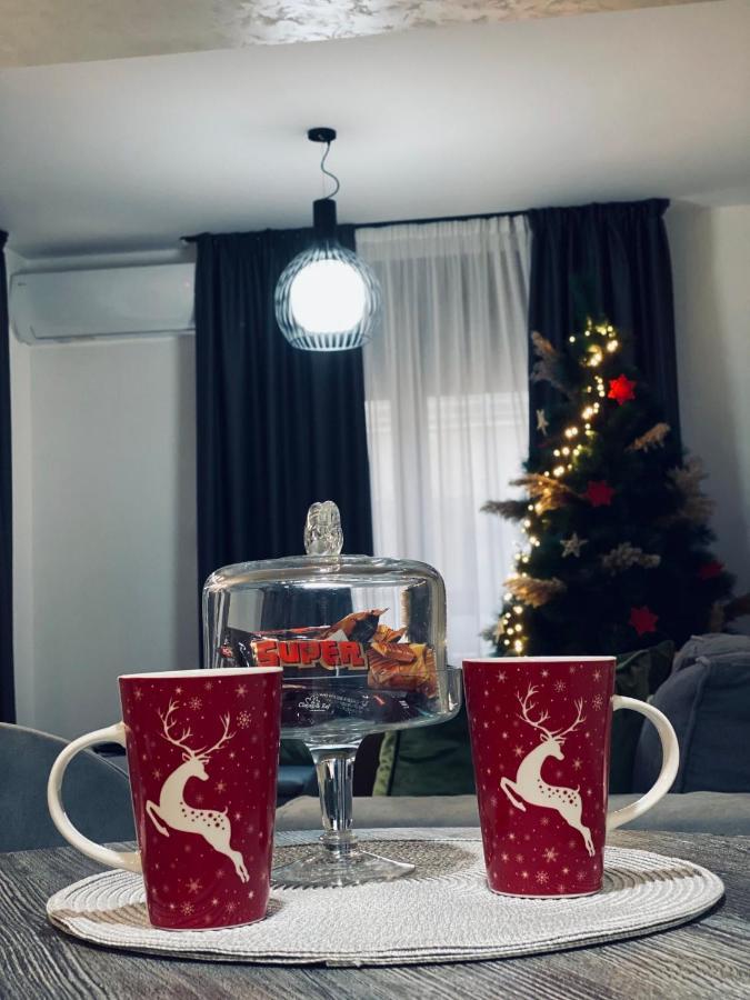 Apartment Novak Vrnjacka Banja