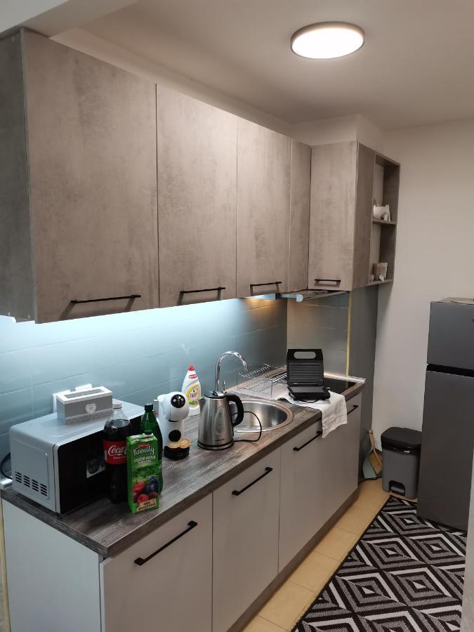 Novak Apartment Vrnjacka Banja